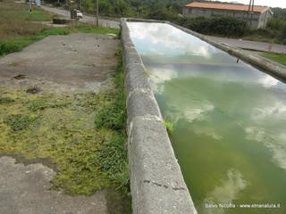 ntana Murata21-10-2014 19-39-36